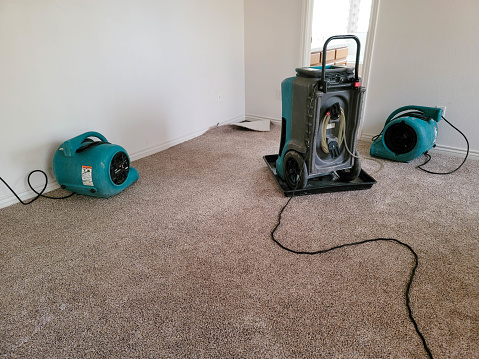Is Tekdry A Scam? The Truth Behind The Water Damage Restore Machine